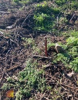 Günebakan'dan Balıkesir Altıeylül'de Satılık Yatırımlık Tarla