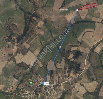 Kırklareli Pehlivanköy Satılık Tarla