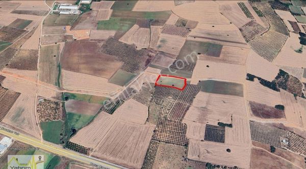 Bandırma Yeniyenice Mahallesinde 8.000m2 Satılık Arazi