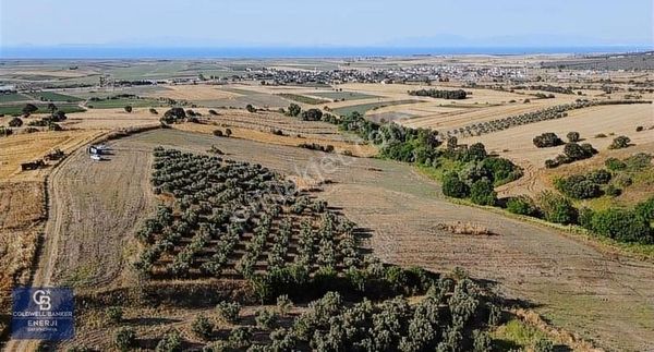 Çanakkale Biga Güvemalan Satılık 33.000 M2 Arazi