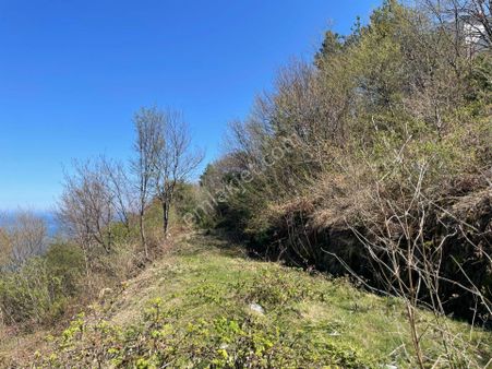 Satılık İmarlı Villalık Ve Konutluk Arsa