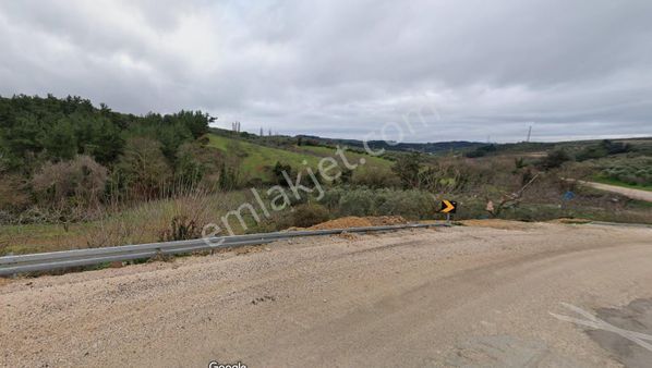 Sinerji'den Mudanya Mirzaoba'da Satılık 2227 M2 Satılık Bahçe