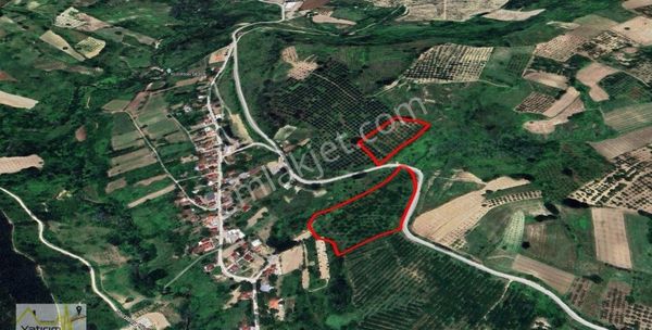 İnegöl Konutlar Mahallesinde Mücavir Alan Sınırında Satılık Ceviz Bahçesi