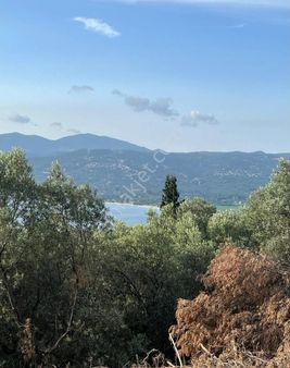 Yatırım Doktorumdan Edincik Mahallesinde Deniz Manzaralı Satılık Arazi