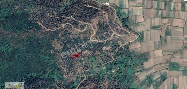 Erdek Ballıpınarda 310m2 Bungalov Ve Tiny House Yapına Uygun