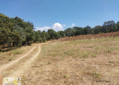 Susurluk Gürece Mahallesinde 8.946 M2 Satılık Tarla