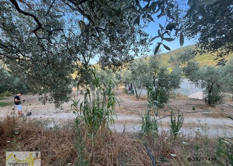 Erdek Doğanlar Mah. 7.398 M2 Oluşan Satılık Arazi