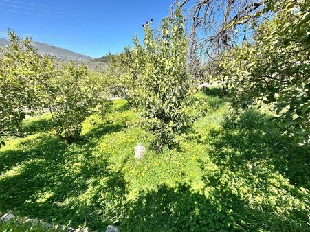 Karaburun Eğlenhoca Köyiçinde 220 M2 Satılık Arsa