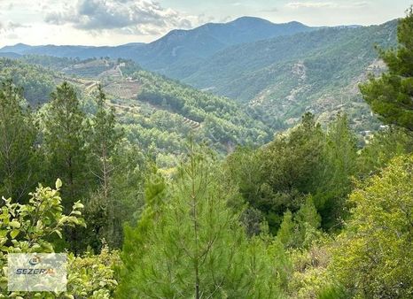 Alanya Başköy Köyünde 27 Tek Tapu Tarla