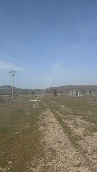 Beyaz Gayrımenkulden Yunusemre Osmancalı Mh De Süper 600 M2 İmarlı Arsa