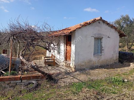 Elit Emlaktan Satılık Bergamaya Yakın İçinde Ev Olan Zeytinlik