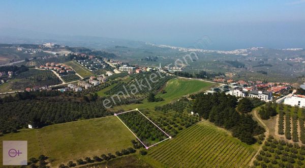 Violetten Satılık Arsa Çağrışan Mudanya Bursa