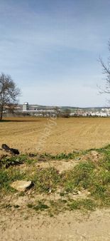 E.m.a Emlak Gayrimenkul Güvencesinde İnegöl Yeniceköyde Satılık 2.800 M2 Tarla