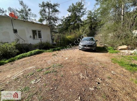 Doyran Dağ Mh. Asfalta Cephe Elektrik Su Var