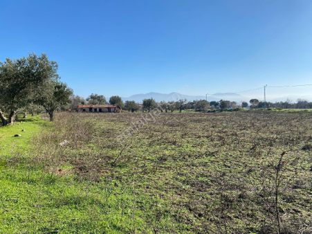 Elit Emlak'tan Satılık Kınık Sucahlıda Tarıma Elverişli Arazi