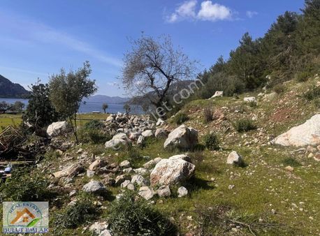 Bulut Emlak Marmaris Turgut'da Deniz Manzaralı Satılık Tarla