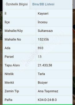 Kayseri İncesu Osb Karşısı Satılık Yatırımlık Tarla Bağ Bahçe