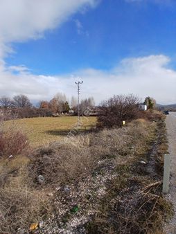 Beyşehir Karadiken De Anayola Sıfır Kupon Tarla