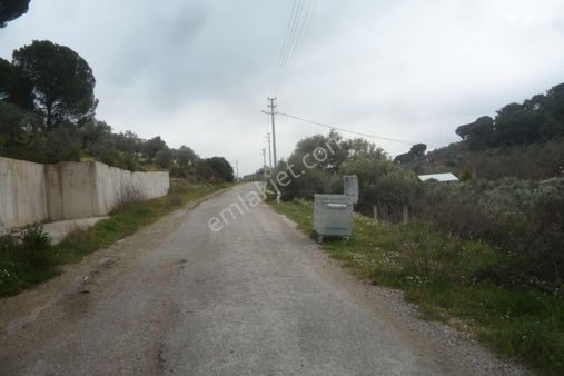 İzmir Torbalı Gold Emlaktan Satılık Bahçe