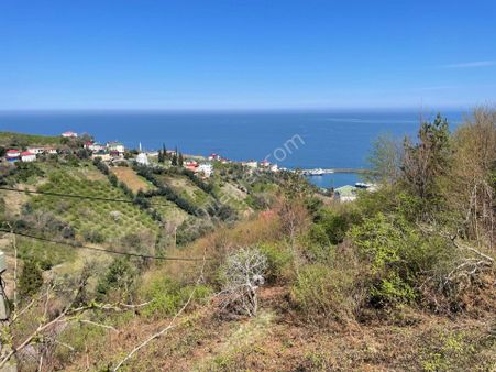 Akçaabat Çatalzeytin Mahallesinde Satılık Villalık Arsa