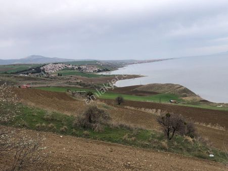 Şarköy De Işık Emlaktan Kocaali Mah De 8833 M2 Tarla