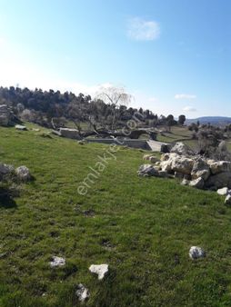 Aydıncık Emlaktan Satılık Tarla 20 Dönüm