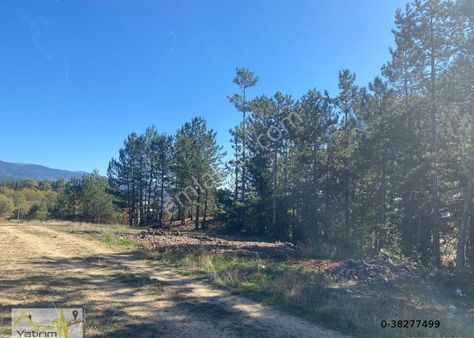 Bursa Osmangazi Büyükdeliller Köyü 2165 M2 Satılık Arazi