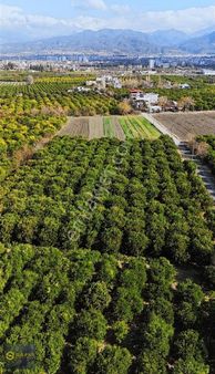 Safir'den Mükemmel Konumda Tek Tapu...