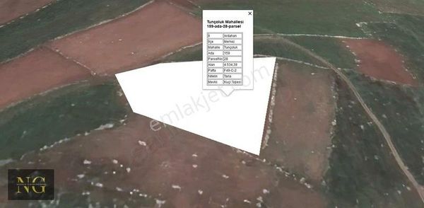 Ardahan - Merkez - Tunçoluk ( Panik ) 4534,39 M²