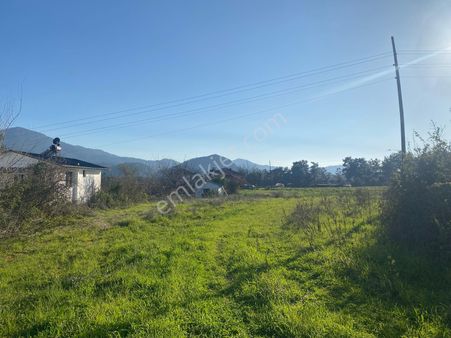 Eray Emlaktan Muğla Köyceğiz Pınarköyde 9500m2 Satılık Tarla