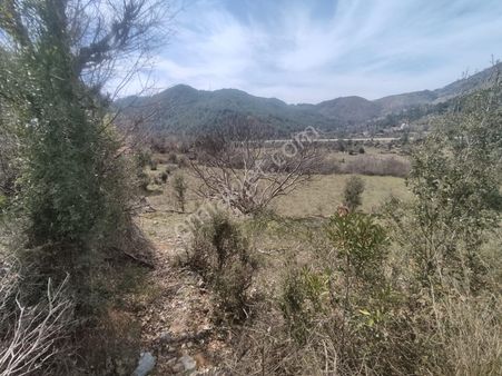 Eray Emlaktan Köyceğiz Çayhisarda 4700m2 Satılık Tarla