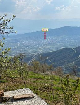 Küçük Menderes'ten Kiraz Çanakçı Mah. Satılık Bahçe