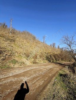 Ordu Perşembe Beylide 1650 M2 Deniz Manzaralı Bahçe