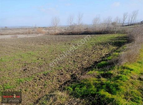 Çan Ahlatlıburun Köyünde Çanakkale / Çan Yolu Kenarı Tarla