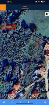 Teke Sinekli Mahallesinde