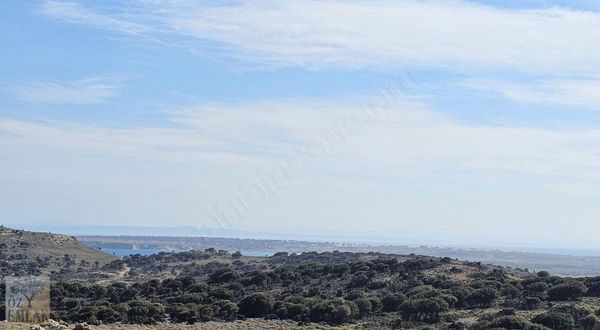 Gökçeada Öz Emlak'tan Çınarlı'da Eşsiz Manzaralı Yatırımlık Dam