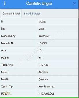 Arazi Uzmanından Milas Karahayıt'ta 1.400m2 Satılık Zeytinlik