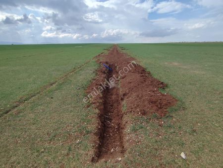 Büyük Akziyaret Pınarbaşı Arasında Satılık Tarla Bagevi Ve Hobi Bahçesi