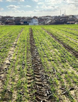 "demirol'dan" Karacakılavuz'da Yerleşime 300 Mt Mesafede