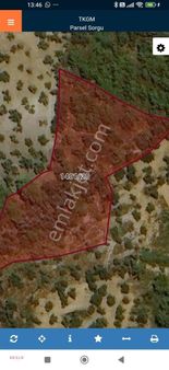 Ayvalık Cunda Adasında Satılık Zeytinlik