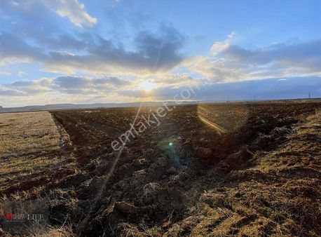 Rw Lıfe// Yusuflar Mahallesinde Toprağı Verimli Tarla