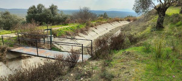 Platform Emlaktan İkinci Kanalda Kanala Cephe Zeytinlik