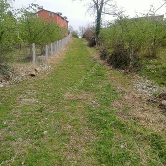 Durmaz Emlak Gayrimenkul Den