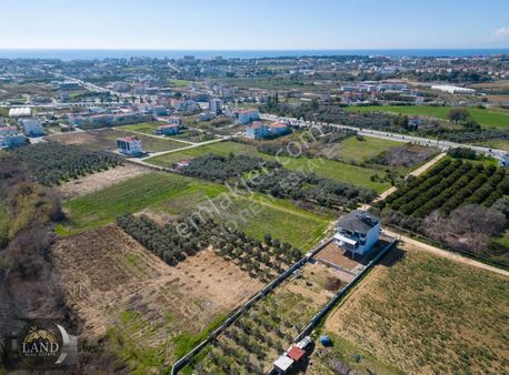 Sahile Ve D-400'e Yakın Fırsat Arsa