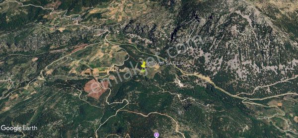 Muğla Dalaman Elcik Uygun Fiyat Tek Tapu 1 Dönüm Tarla