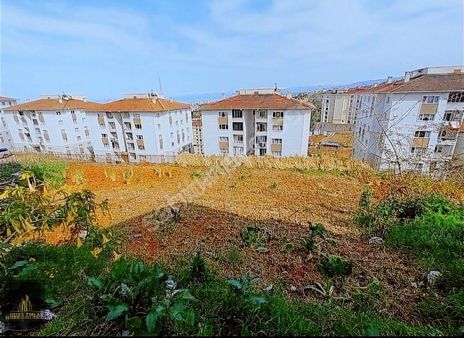 Pelitli De Satılık 4 Kat İmarlı Arsa, Daire Parasına İmarlı Arsa