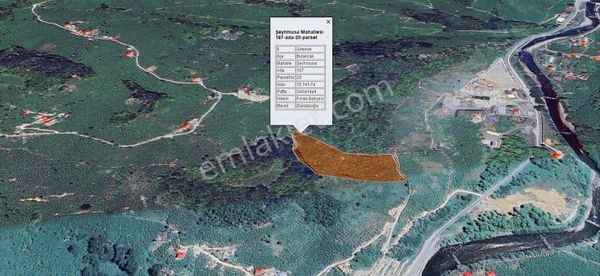 Şeyhmusa Köyünde Fındık Bahçesi 15.741 M2