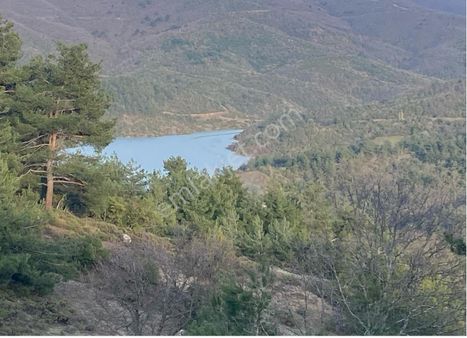 Kestel Ağlaşan Tek Tapu Kooperatif 'ges' Tarım'a Uygun Arazi