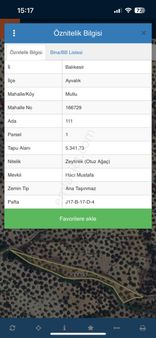 Mutlu Köyde Uygun Zeytinlik