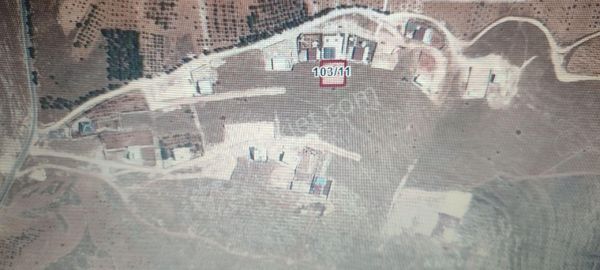 Acil Satılık Villa Arsası Tek Tapu